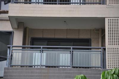 產品具有外觀精美,色澤鮮艷,自潔環保供應商:福州金盛建裝門業