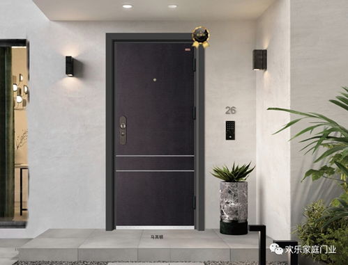 歡樂(lè)家庭門業(yè)2020年高端防護(hù)安全門最新樣品賞析
