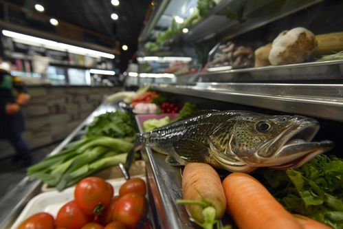 生鮮海鮮水產冰凍銀鱈魚 攝影圖