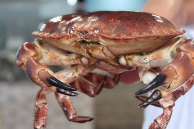 低至6.8折！徹底被啟東這家蒸汽海鮮店'蒸'服！